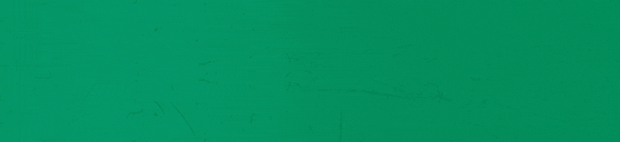 Accepted Crypto Coins Flat Design v2